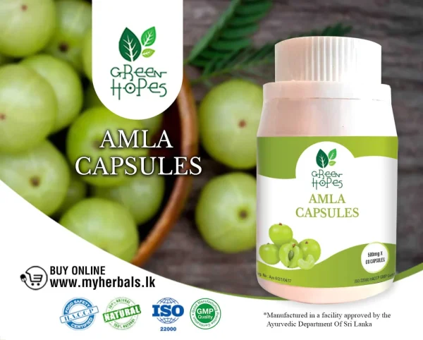 Amla / Nelli Capsules - Image 2