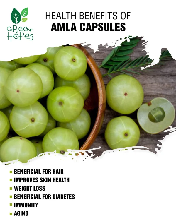 Amla / Nelli Capsules - Image 3