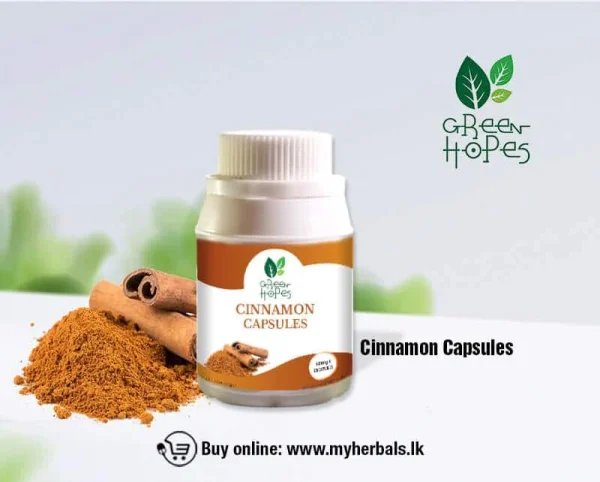 Ceylon Cinnamon Capsules 500mg - Image 2