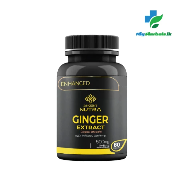 Ginger Extract