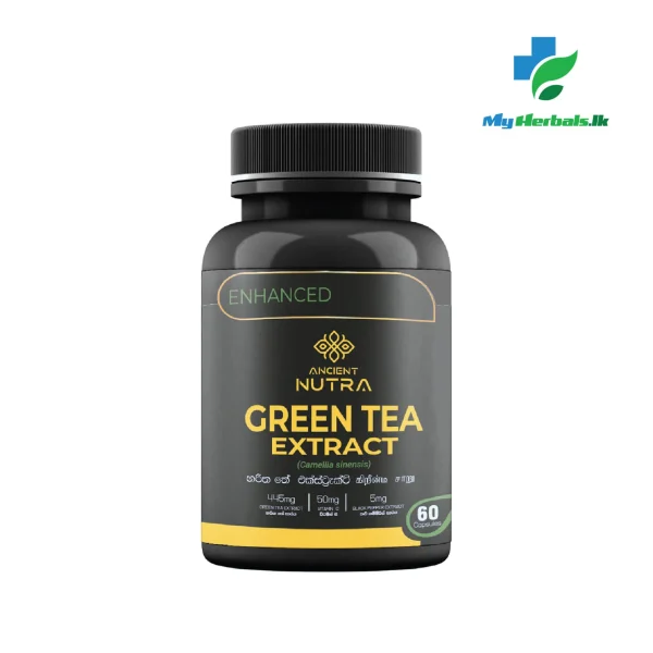 Green Tea Extract