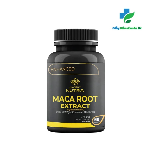 Maca Root Extract