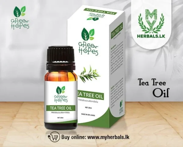 Tea Tree Oil - Image 4